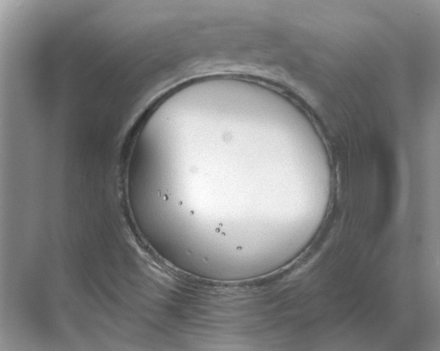 X0000068731501200605121504