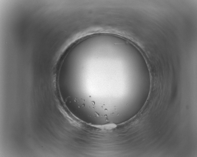 X0000068731503200605121504