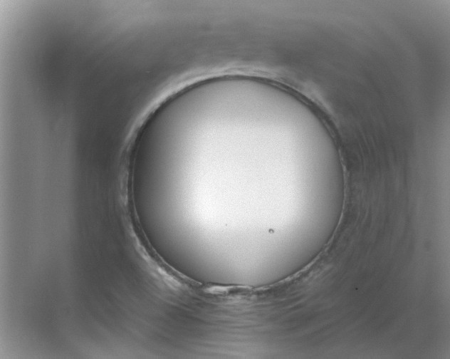 X0000068731504200605121504