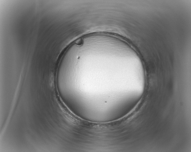 X0000068731505200605121504