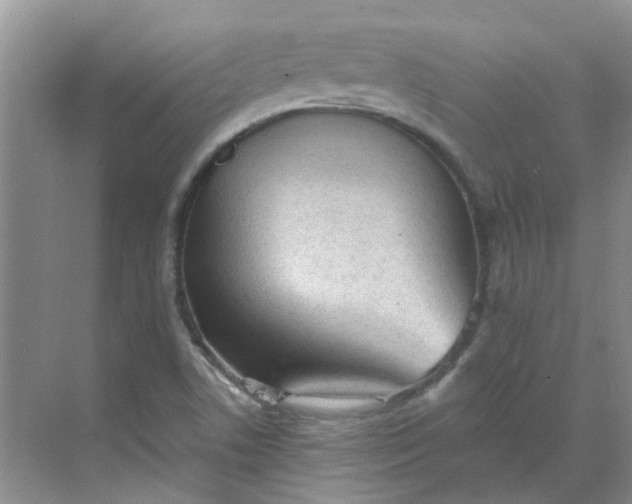 X0000068731506200605121504