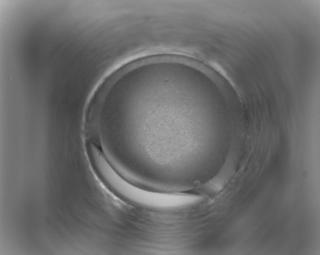 X0000068731508200605121504