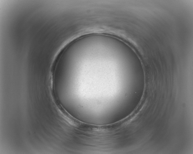 X0000068731509200605121504