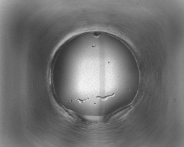 X0000068731510200605121504