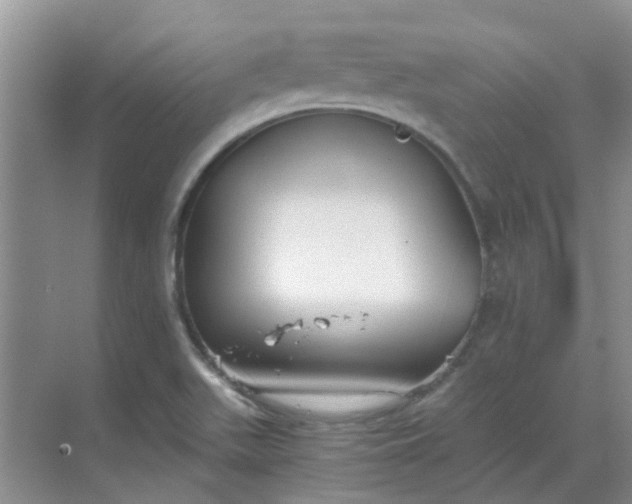 X0000068731511200605121504