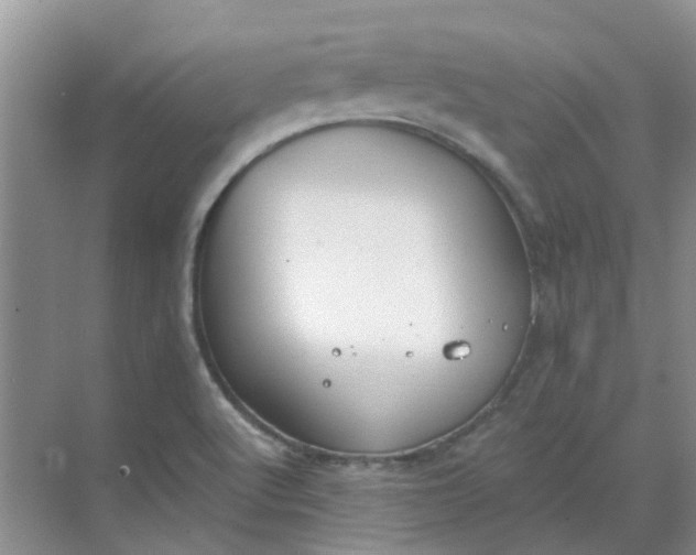 X0000068731512200605121504