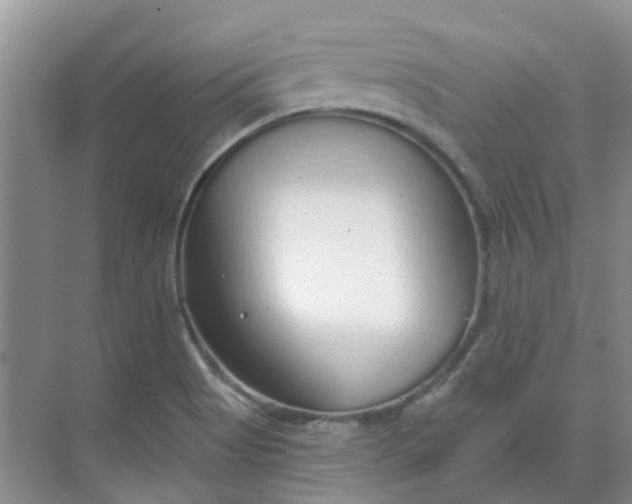 X0000068731513200605121504