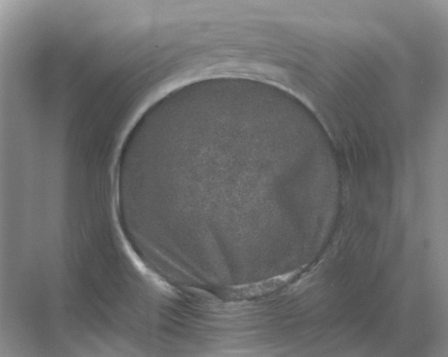 X0000068731515200605121504