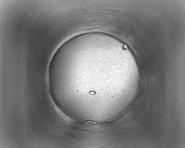 X0000068731516200605121505