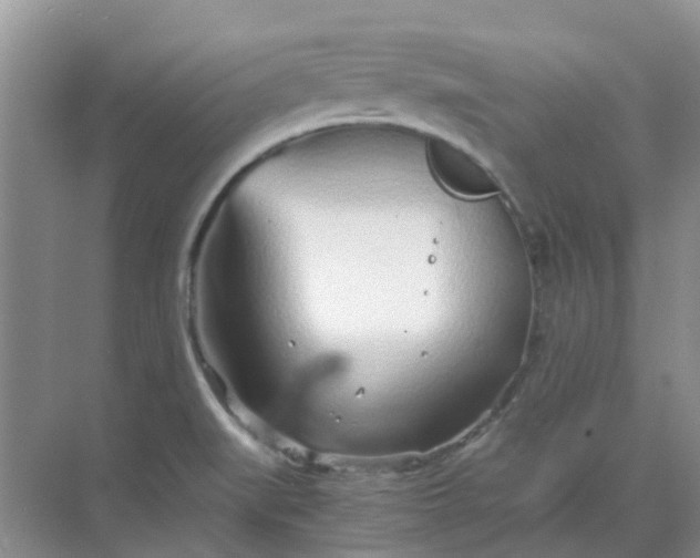 X0000068731519200605121505