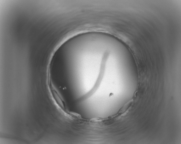 X0000068731520200605121505