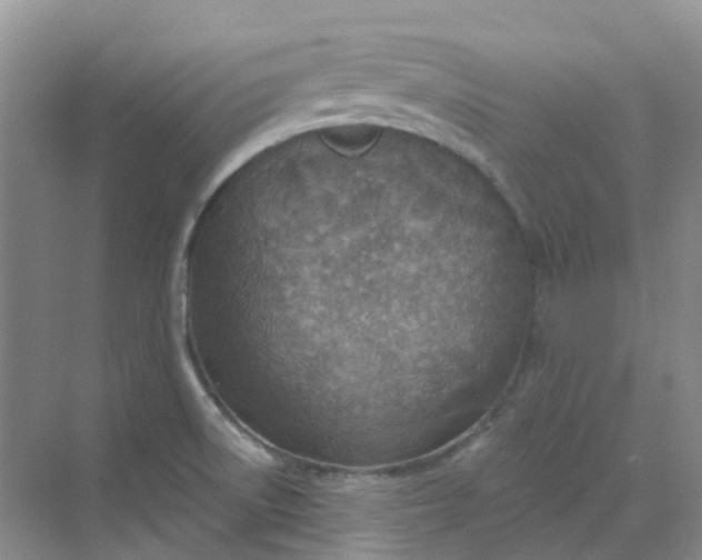 X0000068731522200605121505