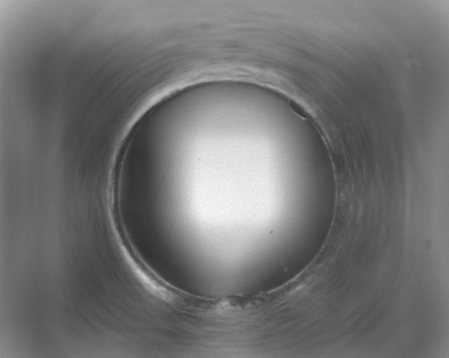 X0000068731523200605121505