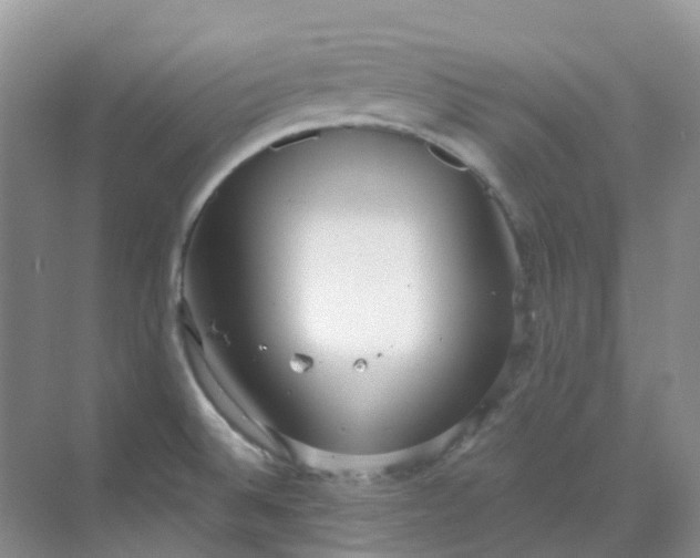 X0000068731524200605121505