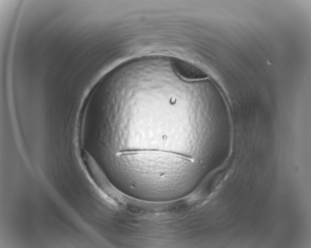 X0000068731525200605121505