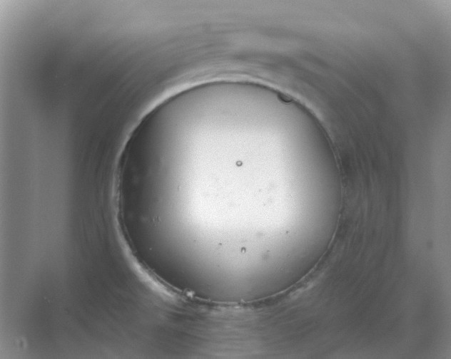 X0000068731526200605121505