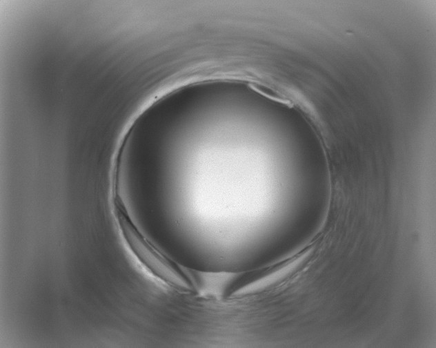 X0000068731528200605121505