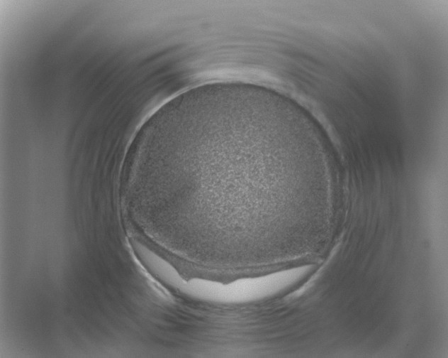 X0000068731529200605121505