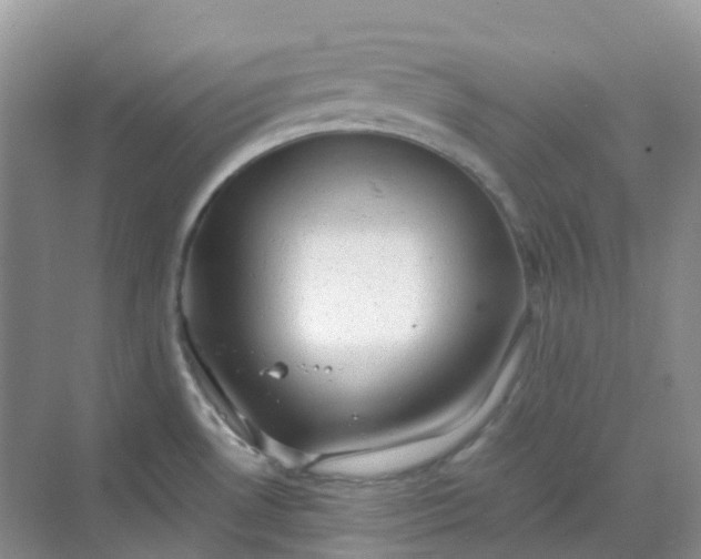 X0000068731530200605121505