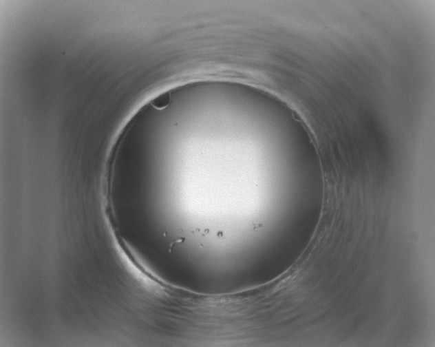 X0000068731531200605121505