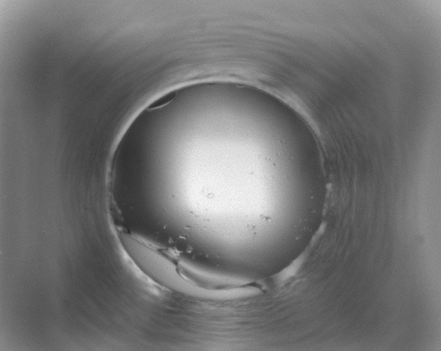 X0000068731532200605121505