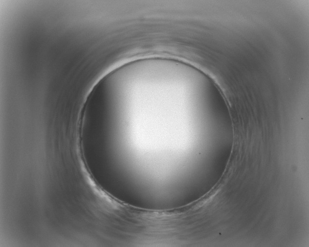 X0000068731534200605121505