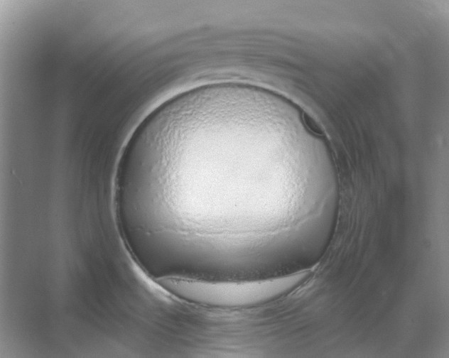 X0000068731535200605121505