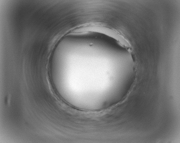 X0000068730001200605192331