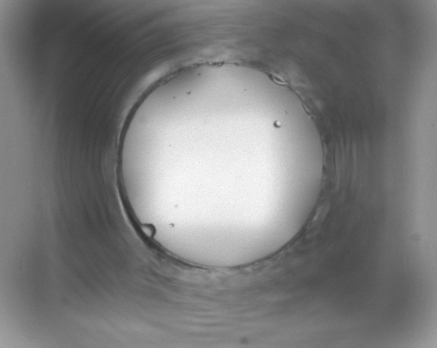 X0000068730003200605192331