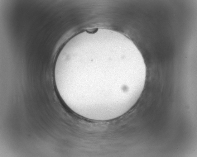 X0000068730004200605192331