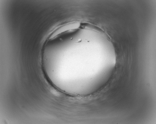 X0000068730005200605192331