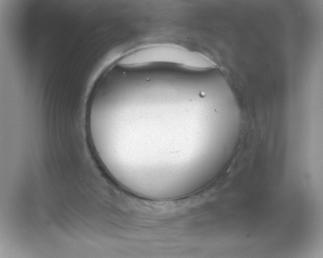 X0000068730006200605192331