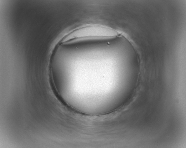 X0000068730007200605192331