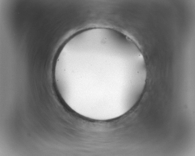 X0000068730008200605192331