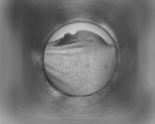 X0000068730009200605192331