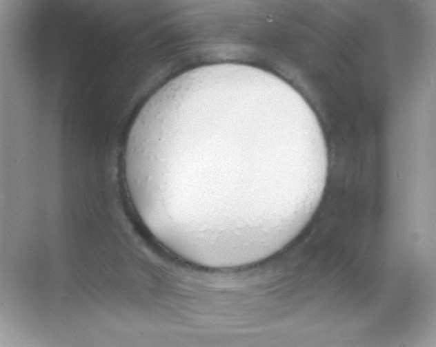 X0000068730010200605192331