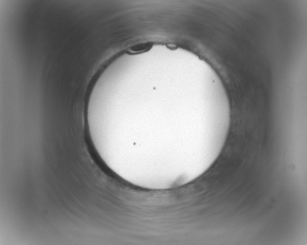 X0000068730011200605192331