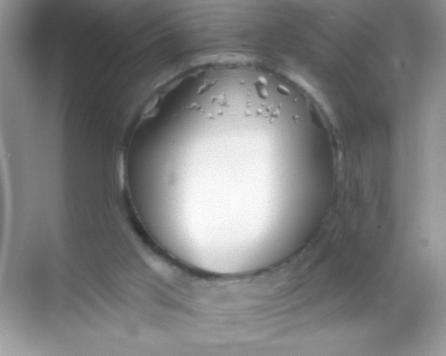 X0000068730013200605192331