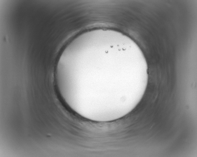 X0000068730015200605192331