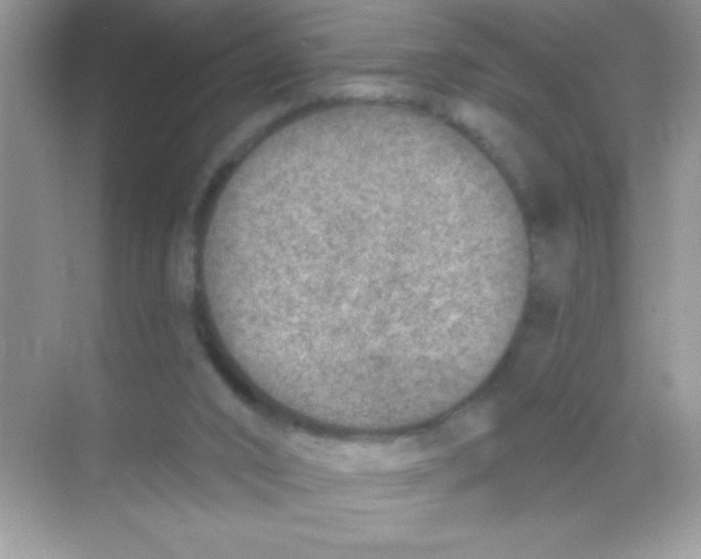 X0000068730016200605192331