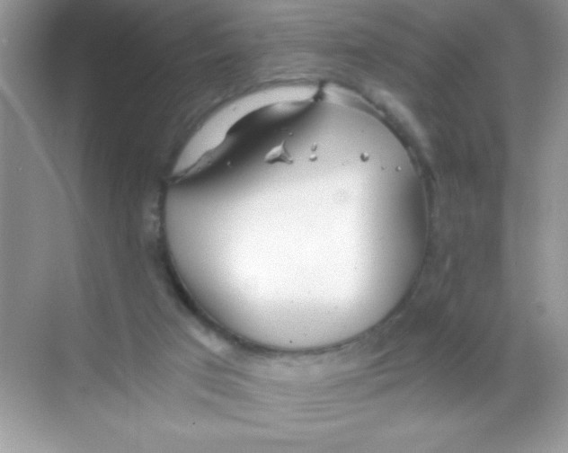 X0000068730017200605192331