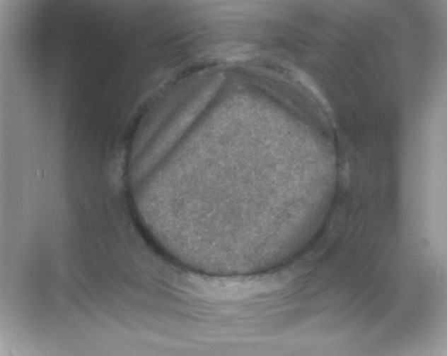 X0000068730018200605192331