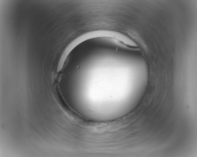 X0000068730021200605192331