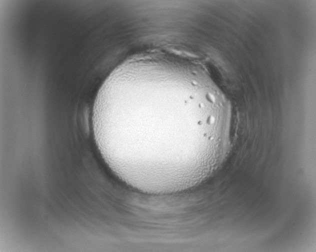 X0000068730022200605192331