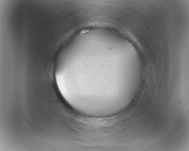 X0000068730023200605192331