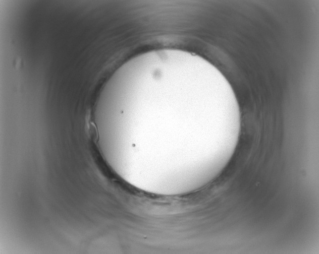 X0000068730024200605192331