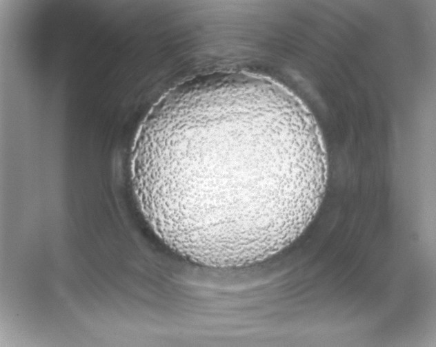 X0000068730026200605192331