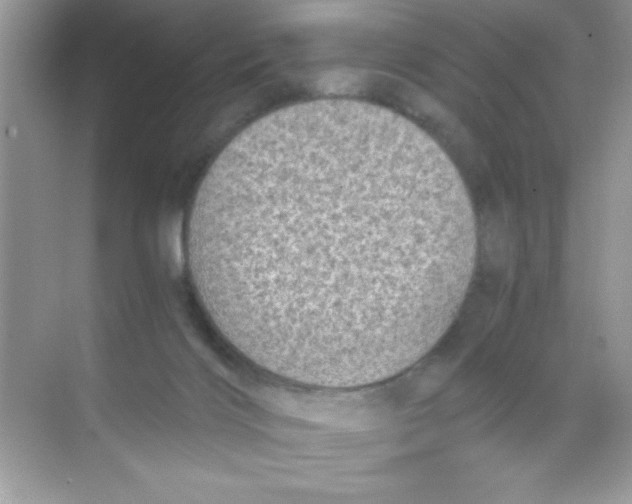 X0000068730028200605192331