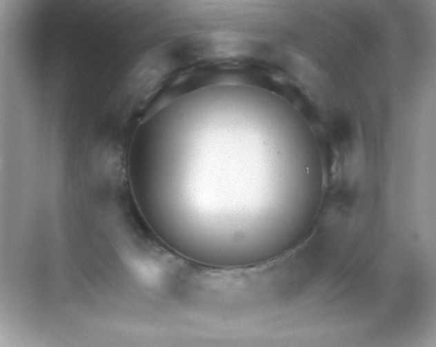 X0000068730029200605192331