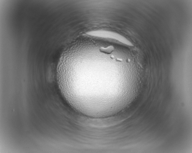 X0000068730030200605192331